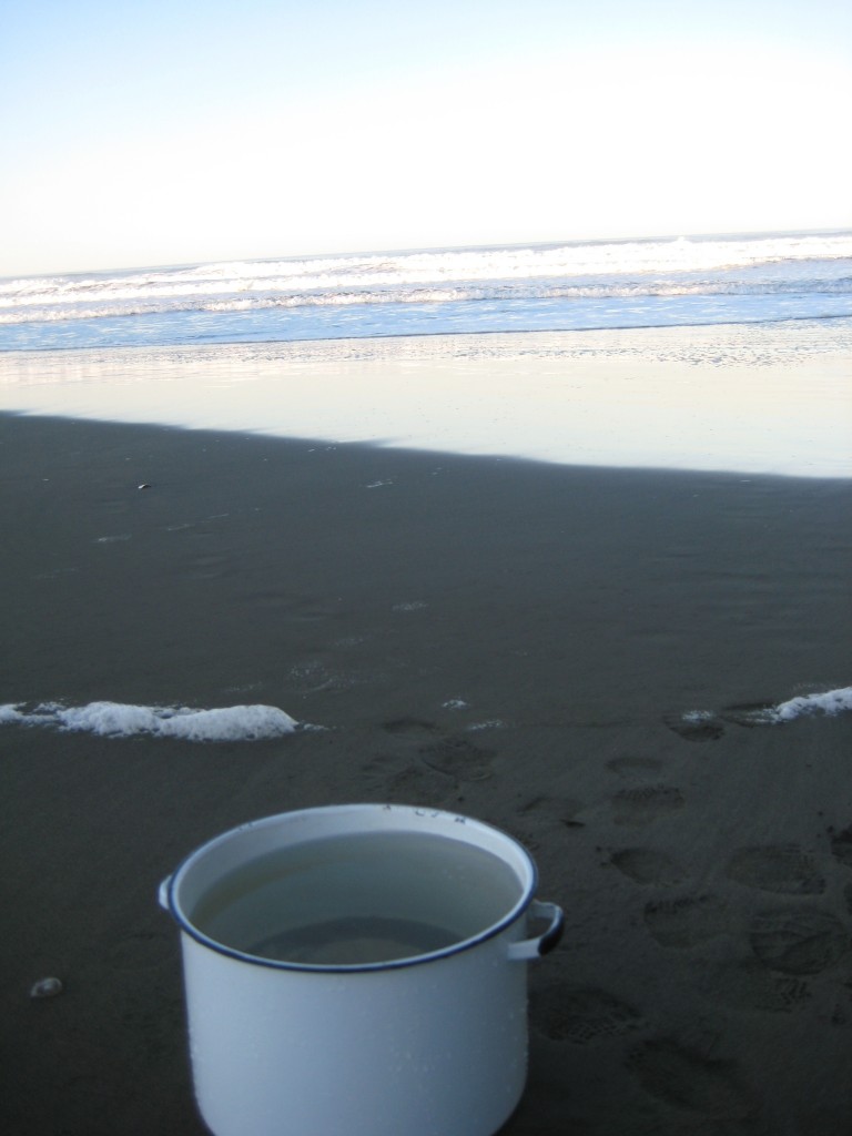 pot at beach